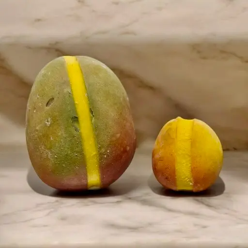 Sorbetto Baby Mango