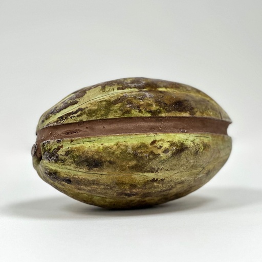 [100-12] Sorbetto Cacao