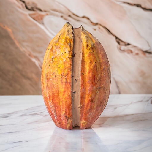 [100-12] Sorbetto Cocoa