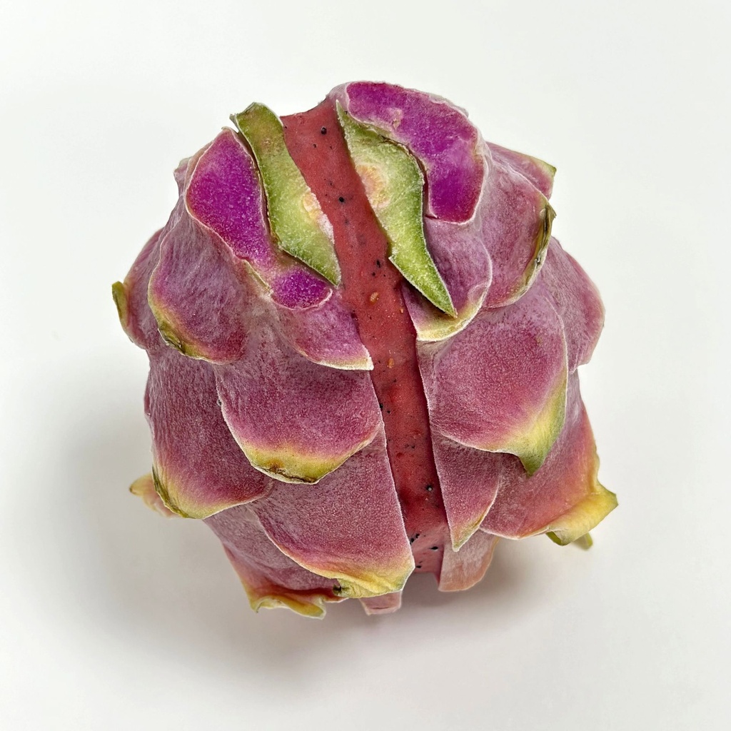 [100-14] Sorbetto Fruit du Dragon/Framboise/Hibiscus