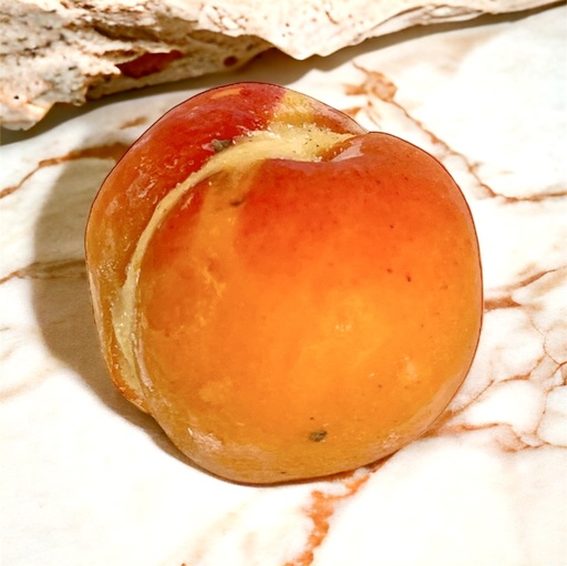 [100-01] Sorbetto Apricot Verbena
