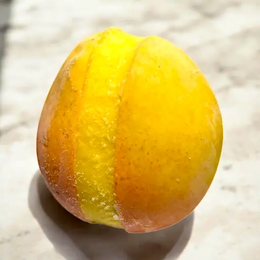 [100-23] Sorbetto Baby Mango